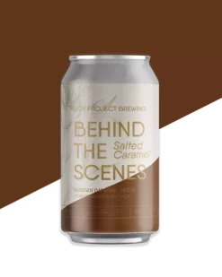 Cerveja stout caramelo salgado lata artesanal brasileira