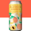 Lata BLOSSOM BREEZE Fruited Sour com pêssego, damasco e mel de laranjeira da Joy Project Brewing