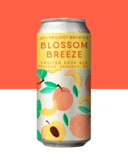 Lata BLOSSOM BREEZE Fruited Sour com pêssego, damasco e mel de laranjeira da Joy Project Brewing