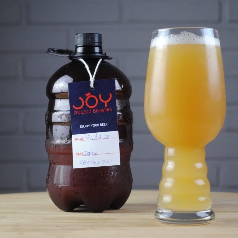 Dia quente, bicho • Vídeo Reels Joy Project Brewing Curitiba