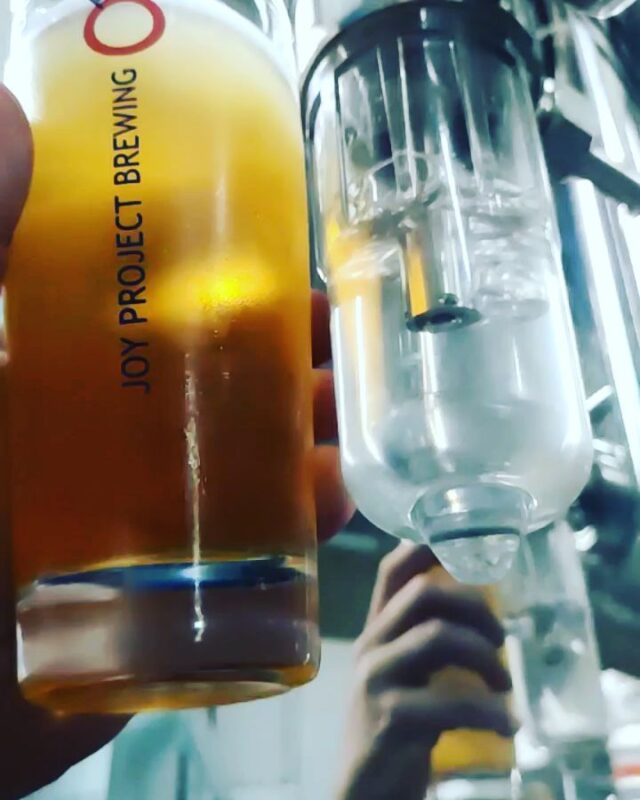É domingo, aproveitando o calor pra fazer mais cerveja, tomar uma L... • Vídeo Reels Joy Project Brewing Curitiba