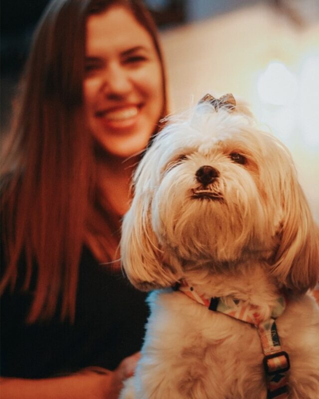 Se você ainda não sabe, nosso espaço é petfriendly • Joy Project Brewing Curitiba